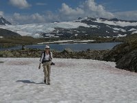 N, Oppland, Lom, Sognefjellet 47, Saxifraga-Jan van der Straaten