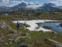 N, Oppland, Lom, Sognefjellet 7, Saxifraga-Jan van der Straaten