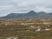 N, Oppland, Sel, Peer Gynt Hytta 161, Saxifraga-Annemiek Bouwman