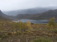 N, Oppland, Vaga, Nedre Leirungen 1, Saxifraga-Willem van Kruijsbergen