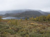 N, Oppland, Vaga, Nedre Leirungen 2, Saxifraga-Willem van Kruijsbergen