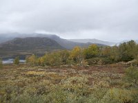 N, Oppland, Vaga, Nedre Leirungen 3, Saxifraga-Willem van Kruijsbergen