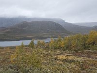 N, Oppland, Vaga, Nedre Leirungen 5, Saxifraga-Willem van Kruijsbergen