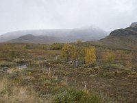 N, Oppland, Vaga, Nedre Leirungen 6, Saxifraga-Willem van Kruijsbergen