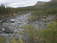 N, Oppland, Vaga, Randsverk, Sjoa river 1, Saxifraga-Willem van Kruijsbergen