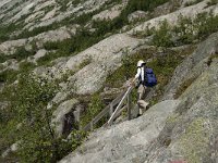 N, Sogn og Fjordane, Luster, Nigardsbreen 7, Saxifraga-Jan van der Straaten