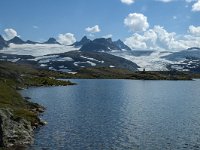 N, Sogn og Fjordane, Luster, Sognefjellet 1, Saxifraga-Marijke Verhagen