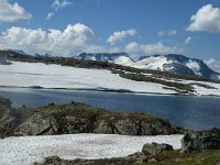 N, Sogn og Fjordane, Luster, Sognefjellet 2, Saxifraga-Marijke Verhagen