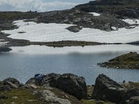 N, Sogn og Fjordane, Luster, Sognefjellet 8, Saxifraga-Marijke Verhagen