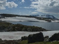 N, Sogn og Fjordane, Luster, Sognefjellet 9, Saxifraga-Marijke Verhagen