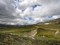 N, Trondelag, Oppdal, Dovrefjell 1, Saxifraga-Bart Vastenhouw