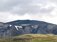 N, Trondelag, Oppdal, Dovrefjell 18, Saxifraga-Bart Vastenhouw