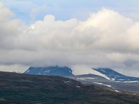 N, Trondelag, Oppdal, Dovrefjell 19, Saxifraga-Bart Vastenhouw