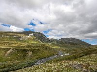 N, Trondelag, Oppdal, Dovrefjell 2, Saxifraga-Bart Vastenhouw