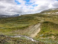 N, Trondelag, Oppdal, Dovrefjell 3, Saxifraga-Bart Vastenhouw