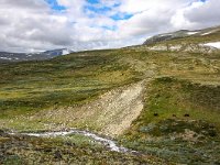 N, Trondelag, Oppdal, Dovrefjell 4, Saxifraga-Bart Vastenhouw