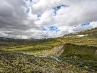 N, Trondelag, Oppdal, Dovrefjell 5, Saxifraga-Bart Vastenhouw