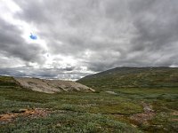 N, Trondelag, Oppdal, Dovrefjell 6, Saxifraga-Bart Vastenhouw