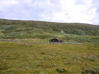 N, Trondelag, Oppdal, Dovrefjell 7, Saxifraga-Bart Vastenhouw