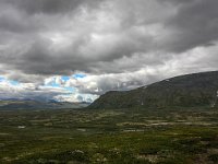 N, Trondelag, Oppdal, Dovrefjell 9, Saxifraga-Bart Vastenhouw