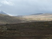 N, Trondelag, Oppdal, Gronbakken 18, Saxifraga-Willem van Kruijsbergen