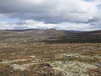 N, Trondelag, Oppdal, Gronbakken 33, Saxifraga-Willem van Kruijsbergen