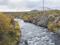 N, Trondelag, Oppdal, Gronbakken 39, Saxifraga-Willem van Kruijsbergen