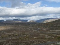 N, Trondelag, Oppdal, Gronbakken 53, Saxifraga-Annemiek Bouwman