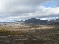 N, Trondelag, Oppdal, Gronbakken 54, Saxifraga-Annemiek Bouwman