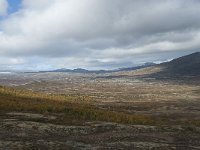 N, Trondelag, Oppdal, Gronbakken 56, Saxifraga-Annemiek Bouwman