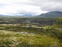 N, Trondelag, Oppdal, Kongsvoll 10, Saxifraga-Bart Vastenhouw