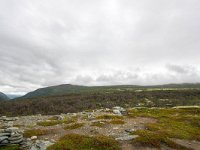 N, Trondelag, Oppdal, Kongsvoll 11, Saxifraga-Bart Vastenhouw