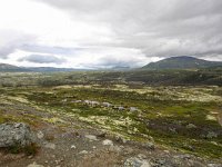 N, Trondelag, Oppdal, Kongsvoll 12, Saxifraga-Bart Vastenhouw