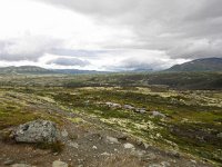 N, Trondelag, Oppdal, Kongsvoll 13, Saxifraga-Bart Vastenhouw