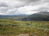 N, Trondelag, Oppdal, Kongsvoll 5, Saxifraga-Bart Vastenhouw