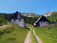 SLO, Gorenjska, Bled, Debela Pec 5, Saxifraga-Hans Dekker