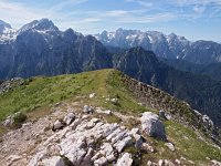 SLO, Gorenjska, Bled, Debela Pec 6, Saxifraga-Hans Dekker