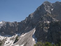 SLO, Gorenjska, Kranjska Gora 15, Saxifraga-Luuk Vermeer