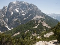 SLO, Gorenjska, Kranjska Gora 6, Saxifraga-Luuk Vermeer