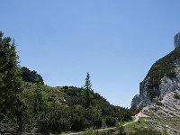 SLO, Gorenjska, Kranjska Gora 7, Saxifraga-Luuk Vermeer