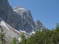 SLO, Gorenjska, Kranjska Gora 8, Saxifraga-Luuk Vermeer