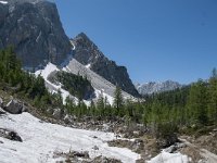 SLO, Gorenjska, Kranjska Gora 9, Saxifraga-Luuk Vermeer