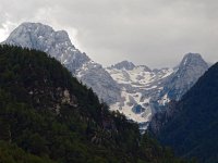 SLO, Gorenjska, Kranjska Gora, Mojstrana 1, Saxifraga-Hans Dekker