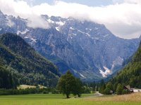 SLO, Savinjska, Solcava, Logarska Dolina 3, Saxifraga-Hans Dekker