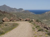 E, Almeria, Nijar, Cabo de Gata 15, Saxifraga-Jan van der Straaten