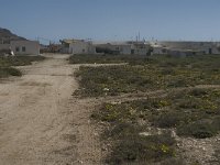 E, Almeria, Nijar, Cabo de Gata 18, Saxifraga-Jan van der Straaten