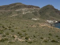 E, Almeria, Nijar, Cabo de Gata 45, Saxifraga-Willem van Kruijsbergen