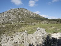 E, Avila, El Arenal 5, Saxifraga-Willem van Kruijsbergen