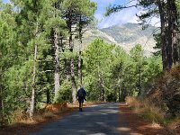 E, Avila, Guisando, Galayos valley 1, Saxifraga-Tom Heijnen