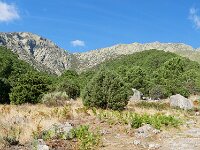 E, Avila, Guisando, Galayos valley 2, Saxifraga-Tom Heijnen